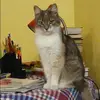 Отзыв от Оксана Уварова